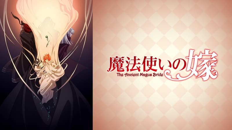 魔法使いの嫁