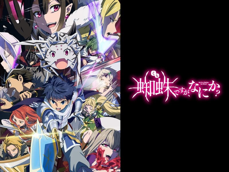 蜘蛛ですが、なにか？