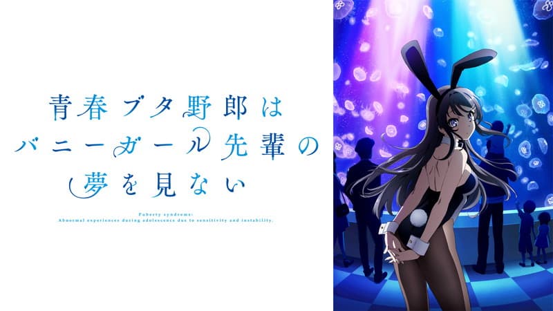 青春ブタ野郎はバニーガール先輩の夢を見ない